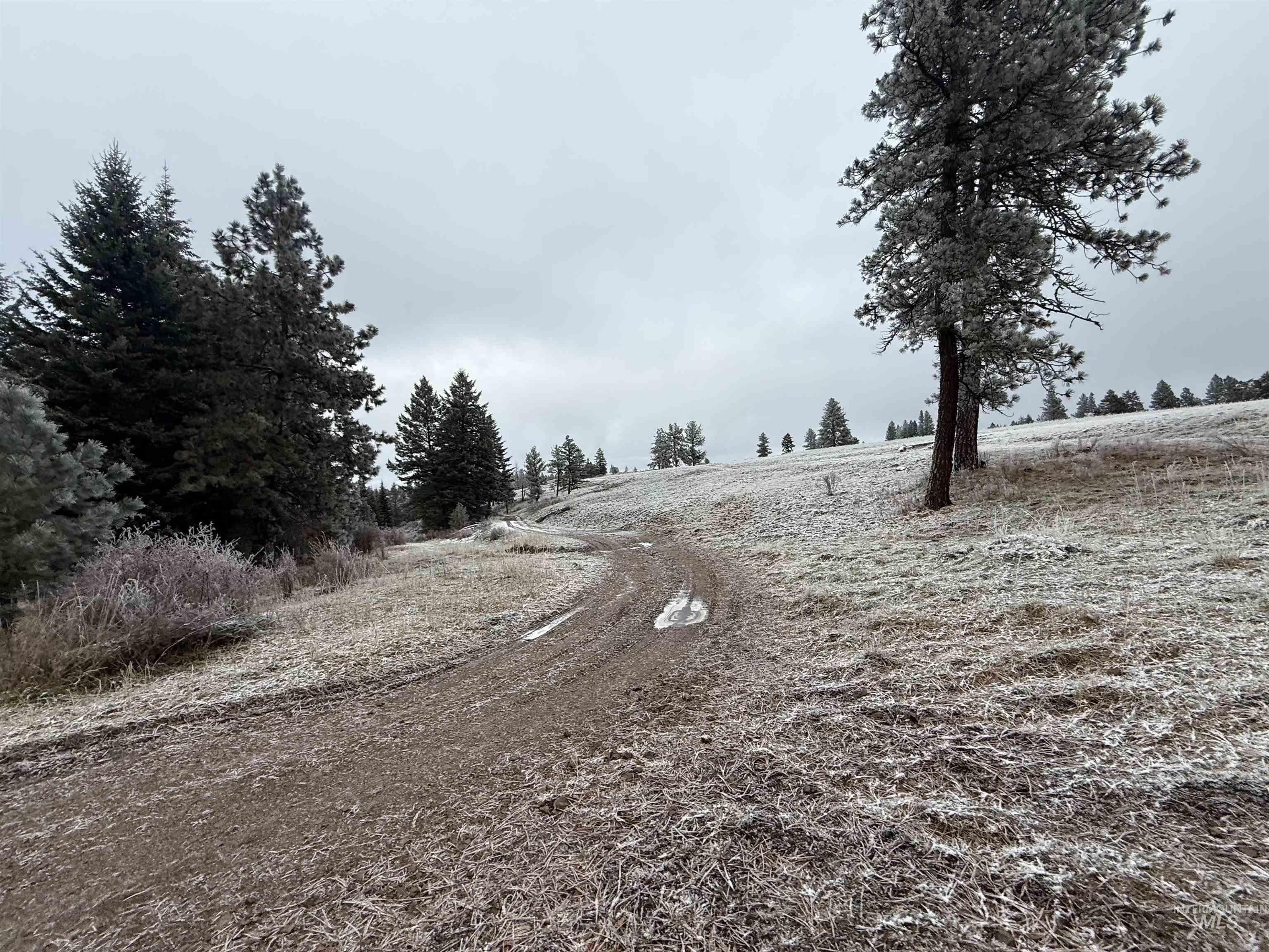 View of road featuring a view of rural / pastoral area