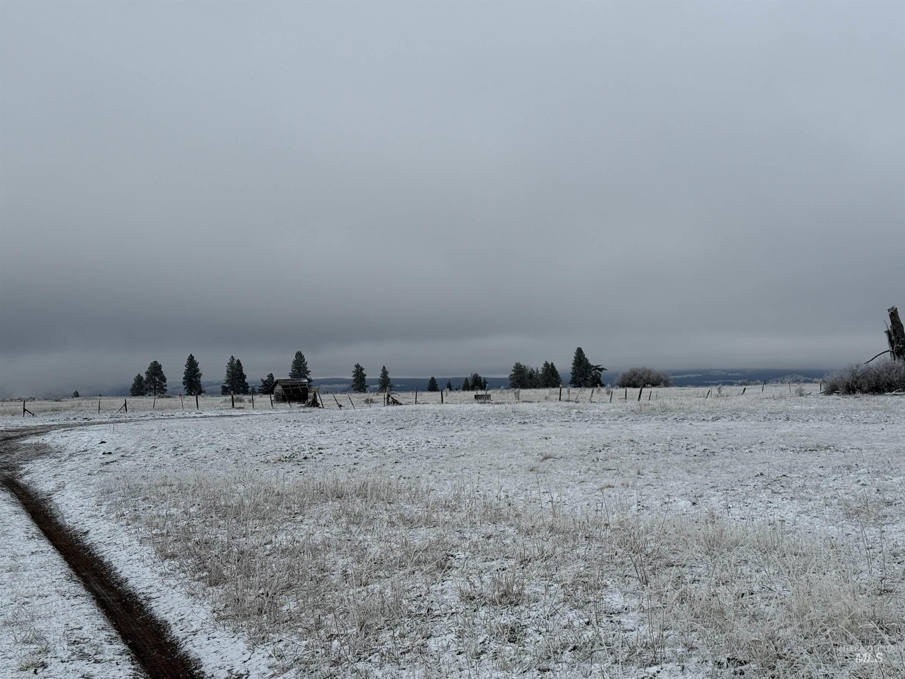 View of yard featuring a view of rural / pastoral area