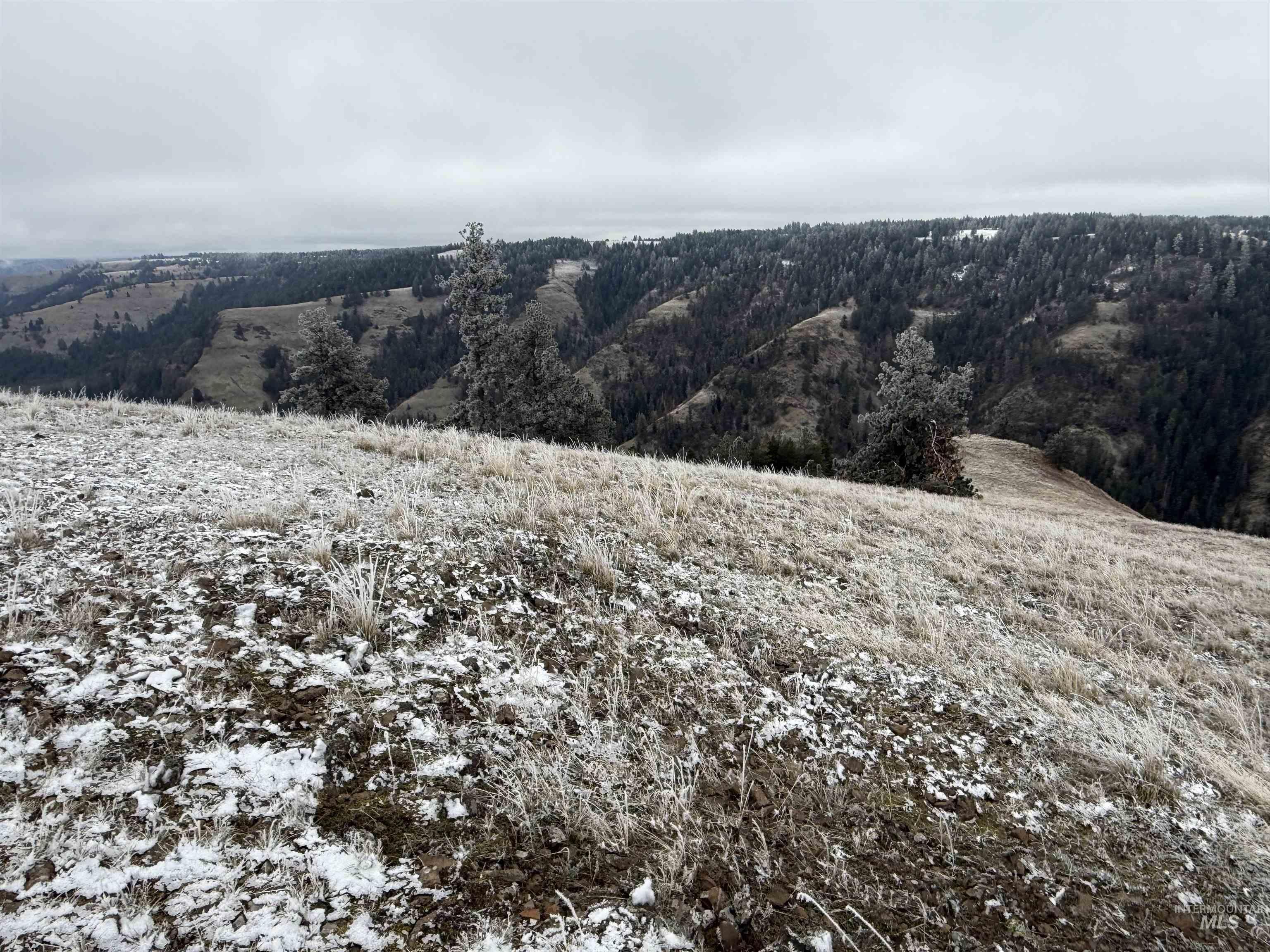 View of mountain background
