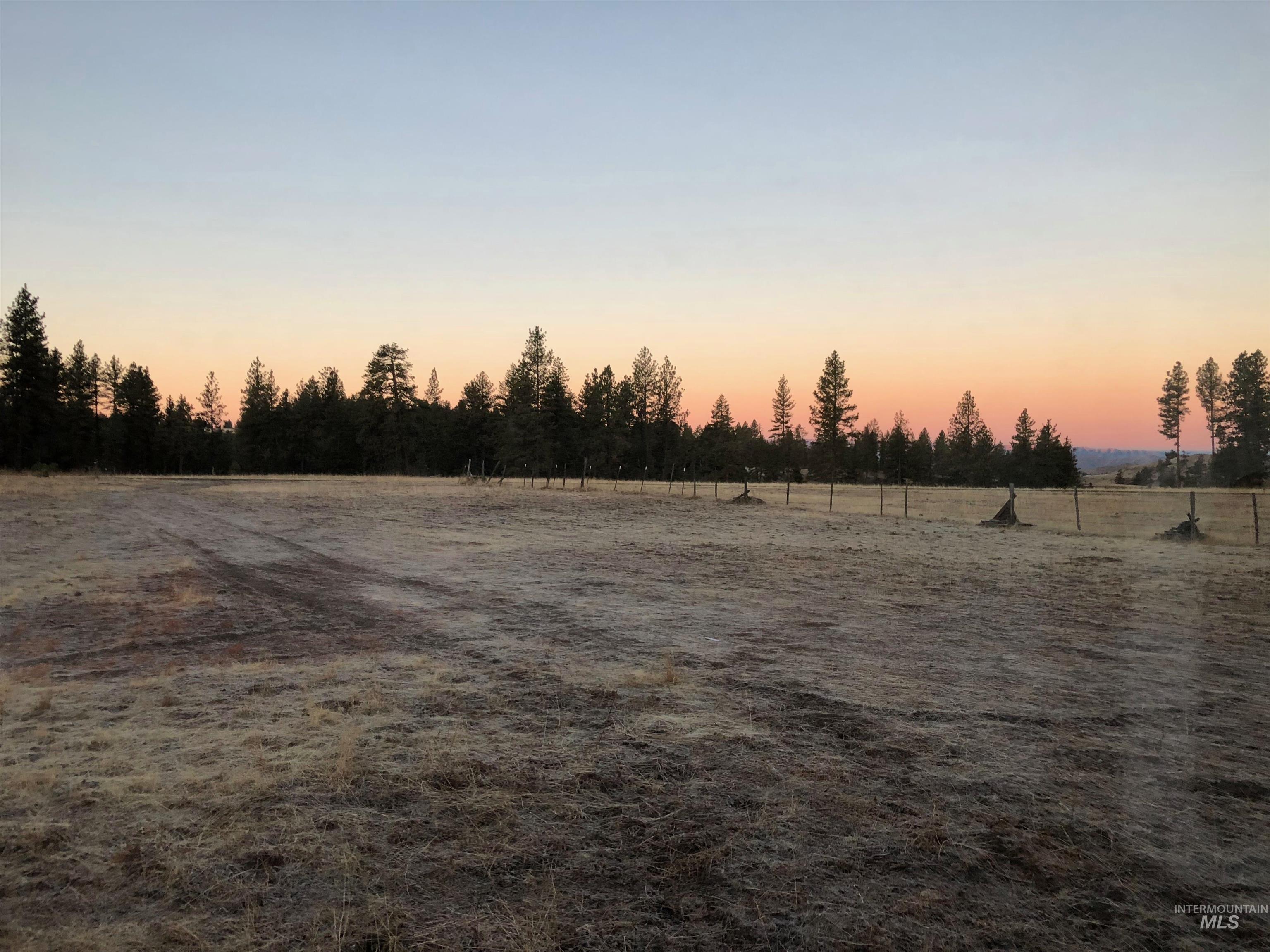 Yard at dusk featuring a rural view
