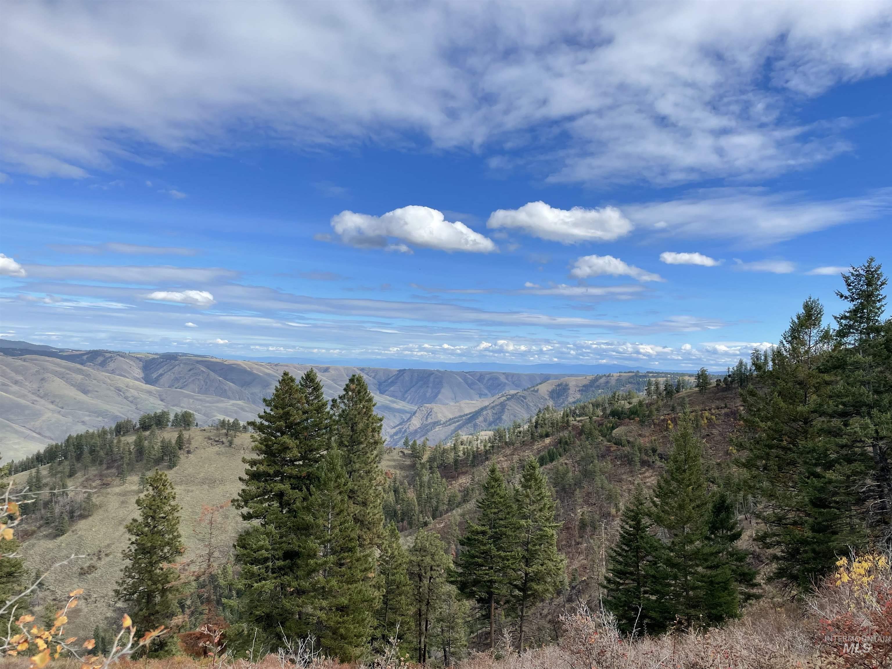 View of mountain background featuring a heavily wooded area