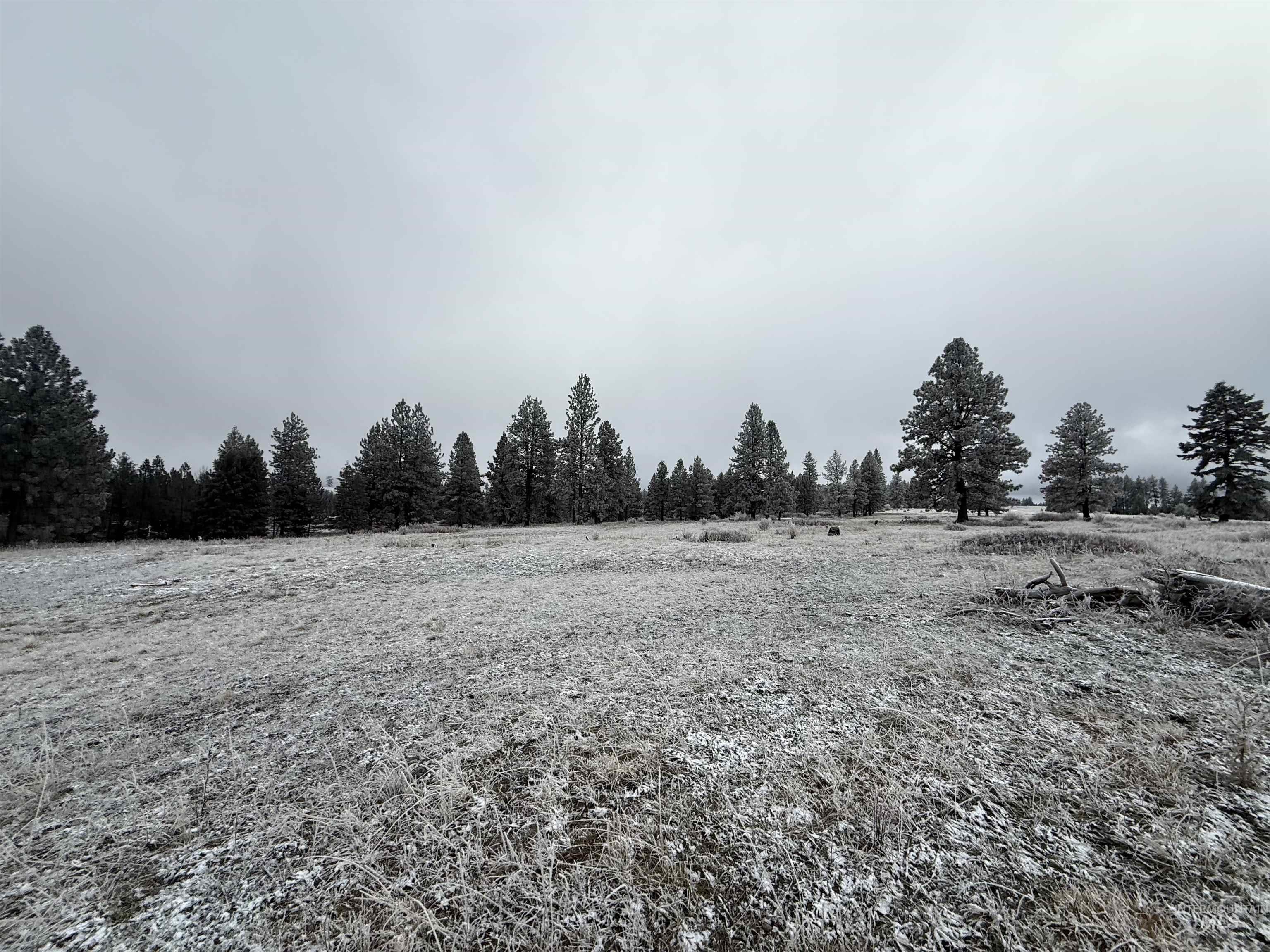 View of undeveloped land featuring rural landscape