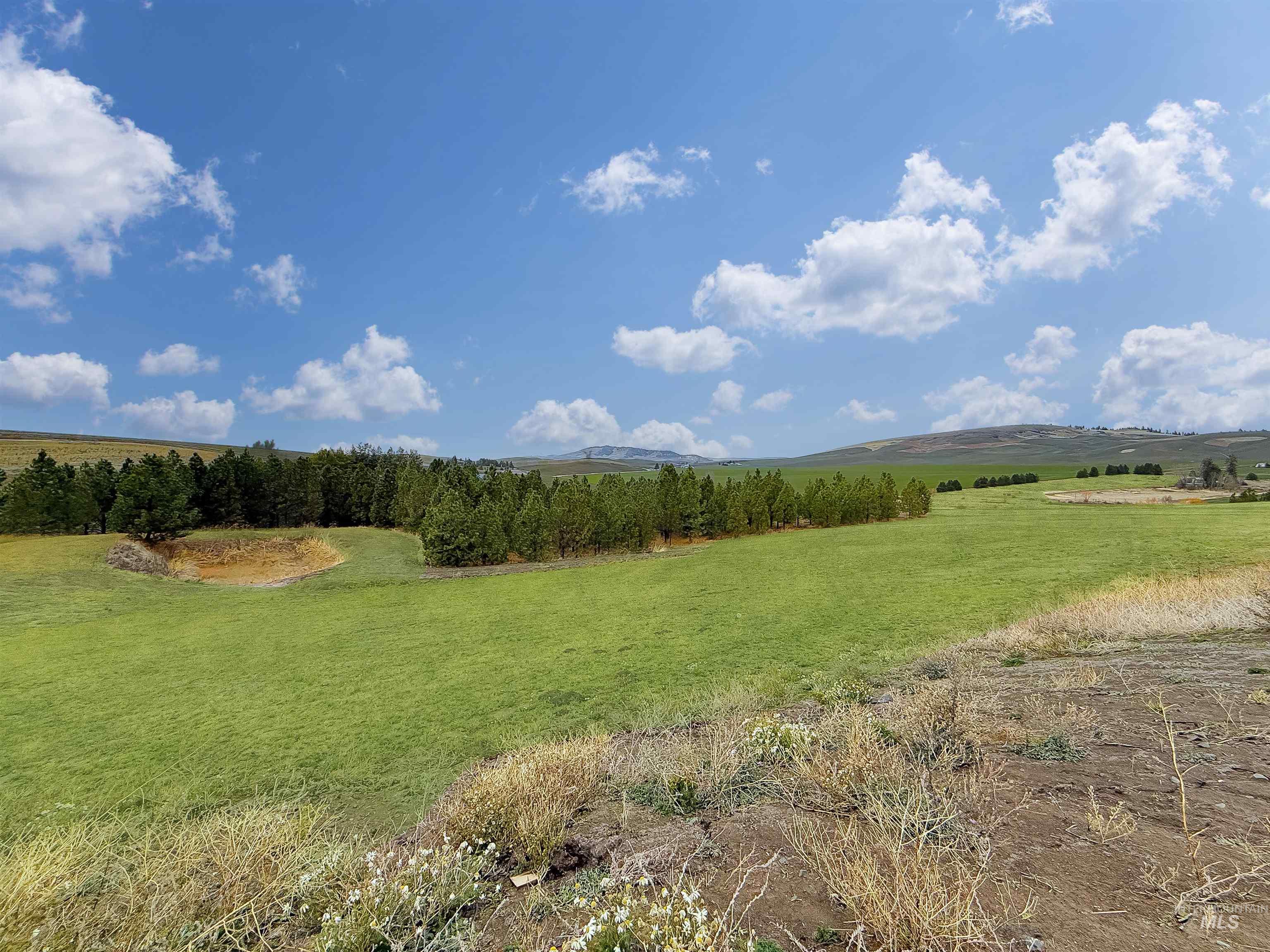 View of local wilderness featuring rural landscape and a mountain backdrop