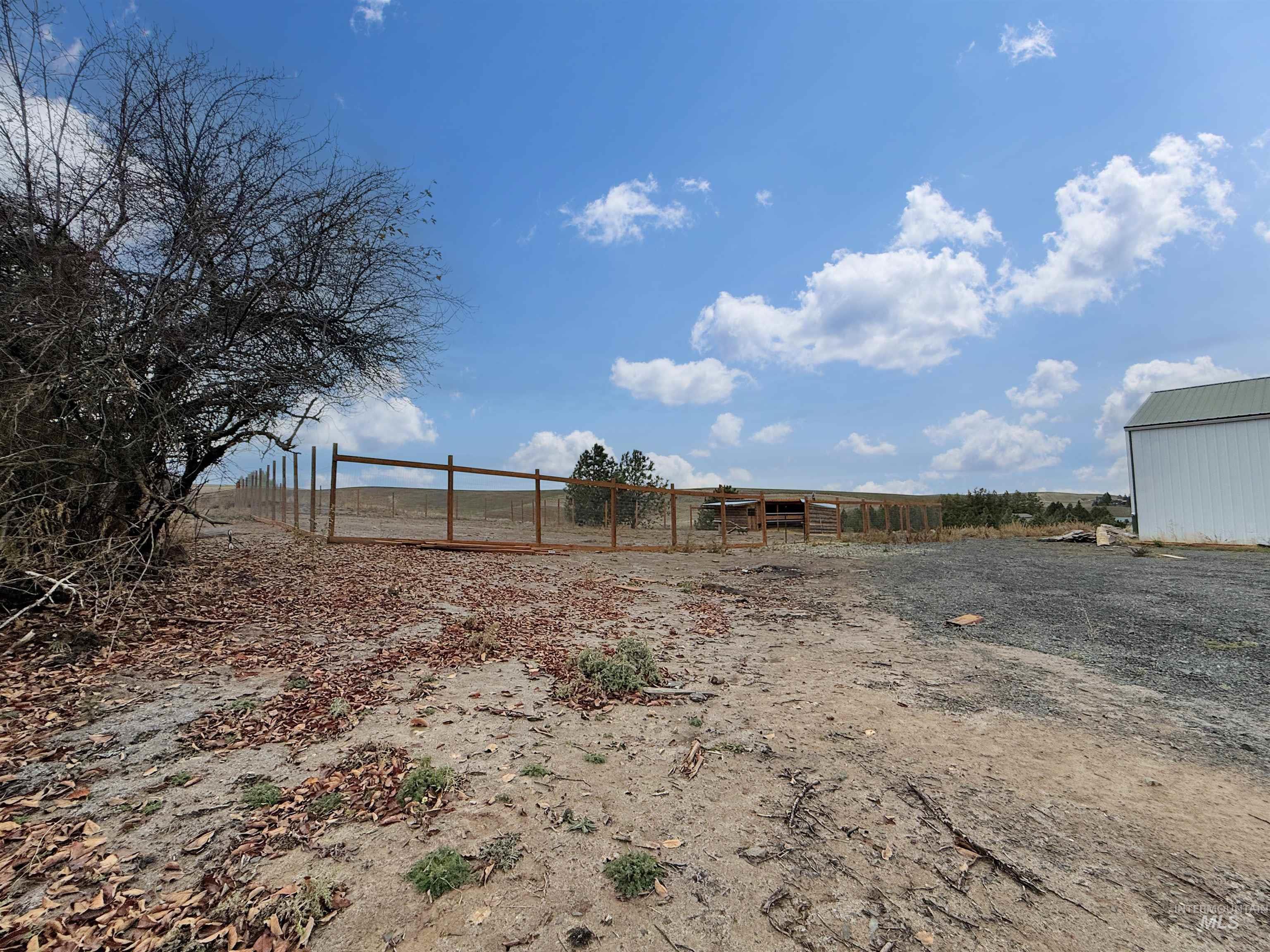 View of yard with an outdoor structure