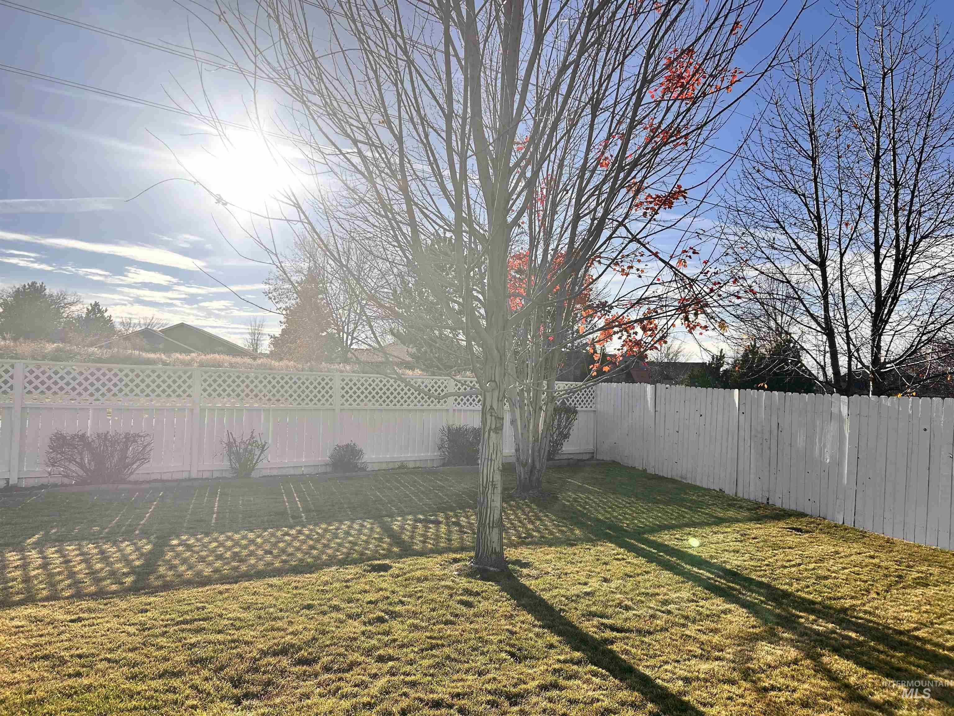 View of fenced backyard