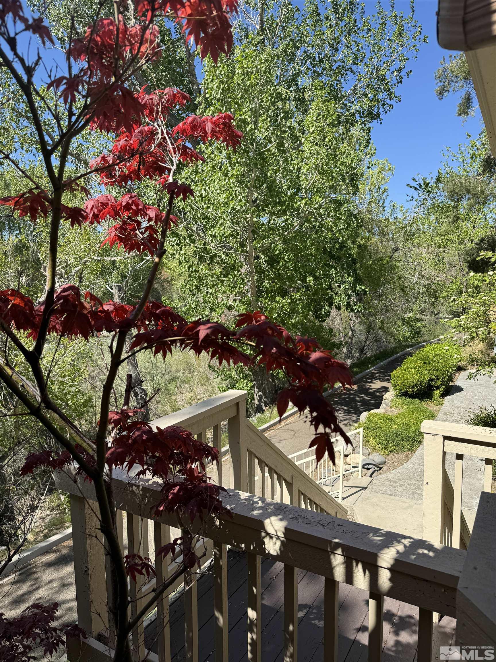 Photo #5: 240005334 Listing 