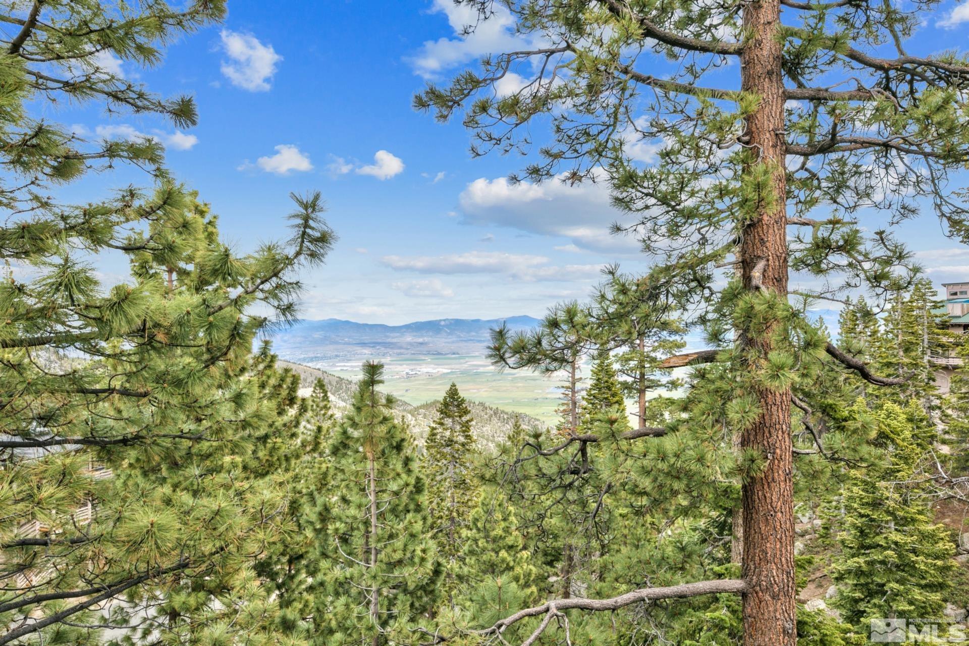 Photo #5: 240006946 Listing 