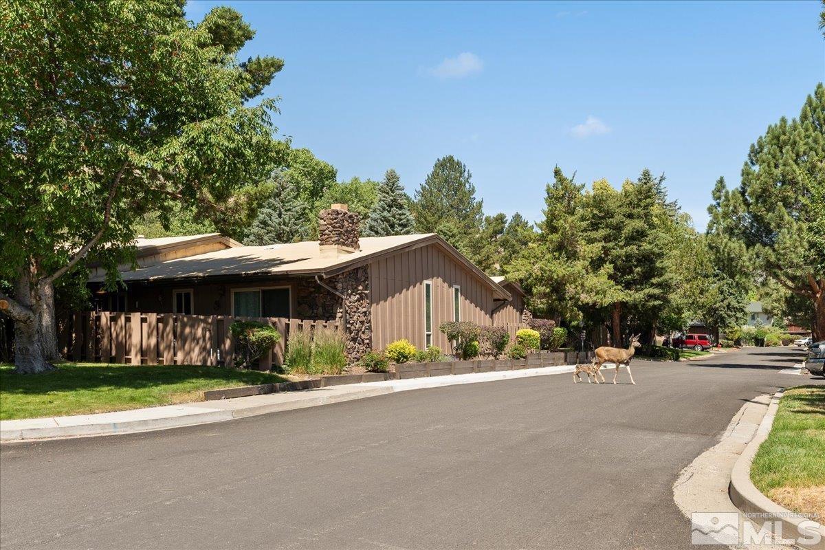 Photo #2: 240007952 Listing 