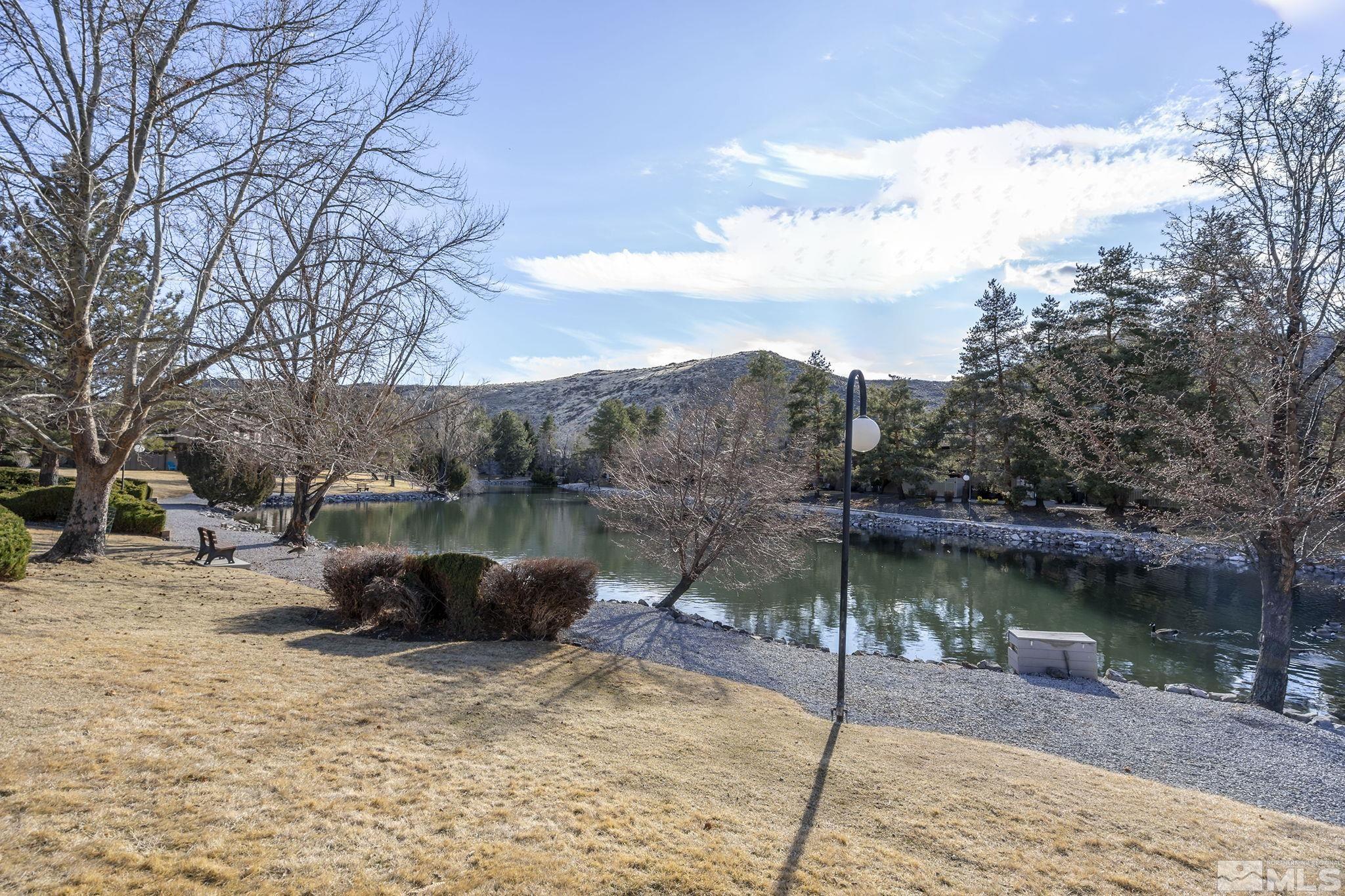 Photo #4: 250002094 Listing 