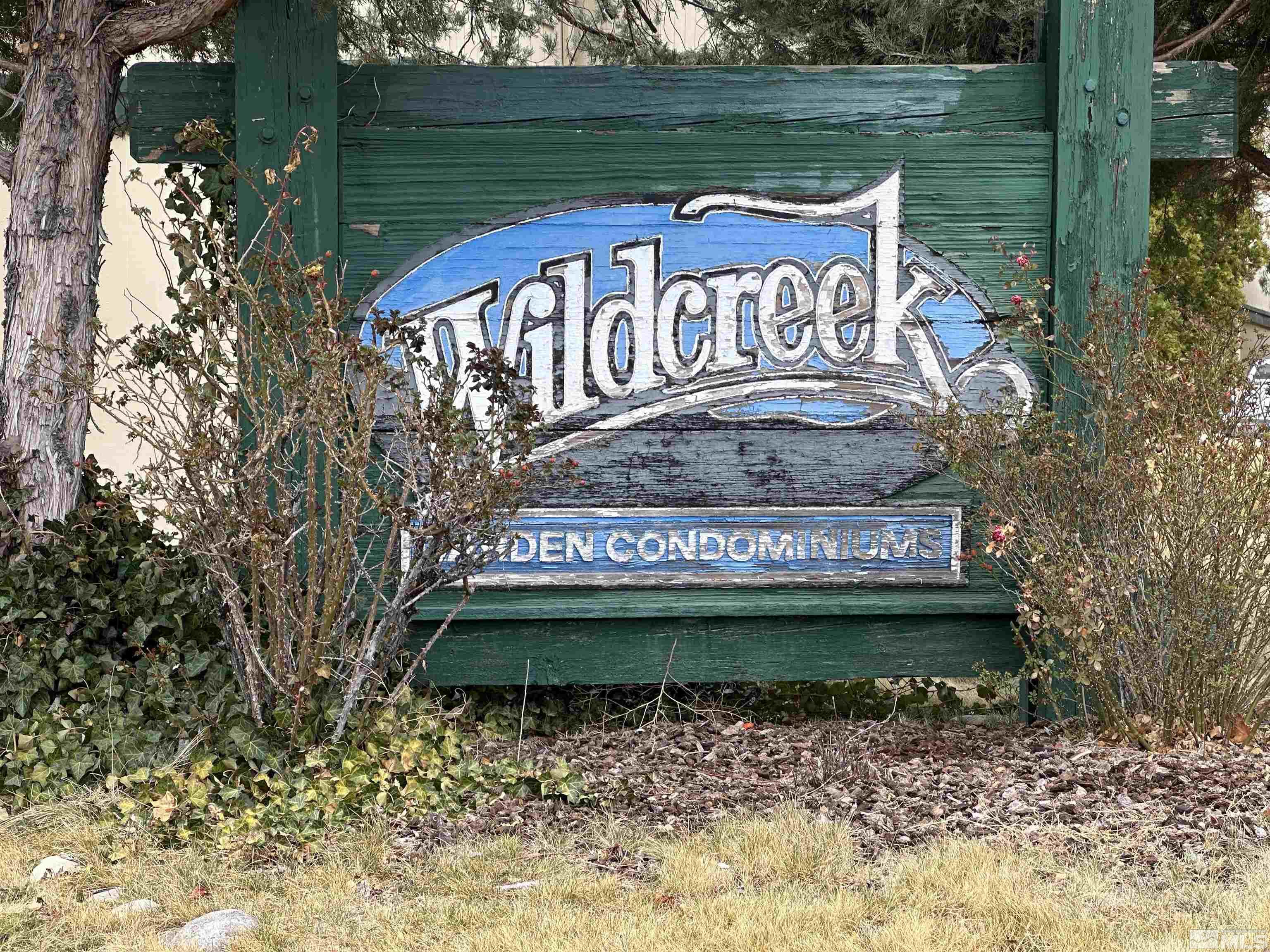 More Details about MLS # 250003534 : 3913 CLEAR ACRE#144