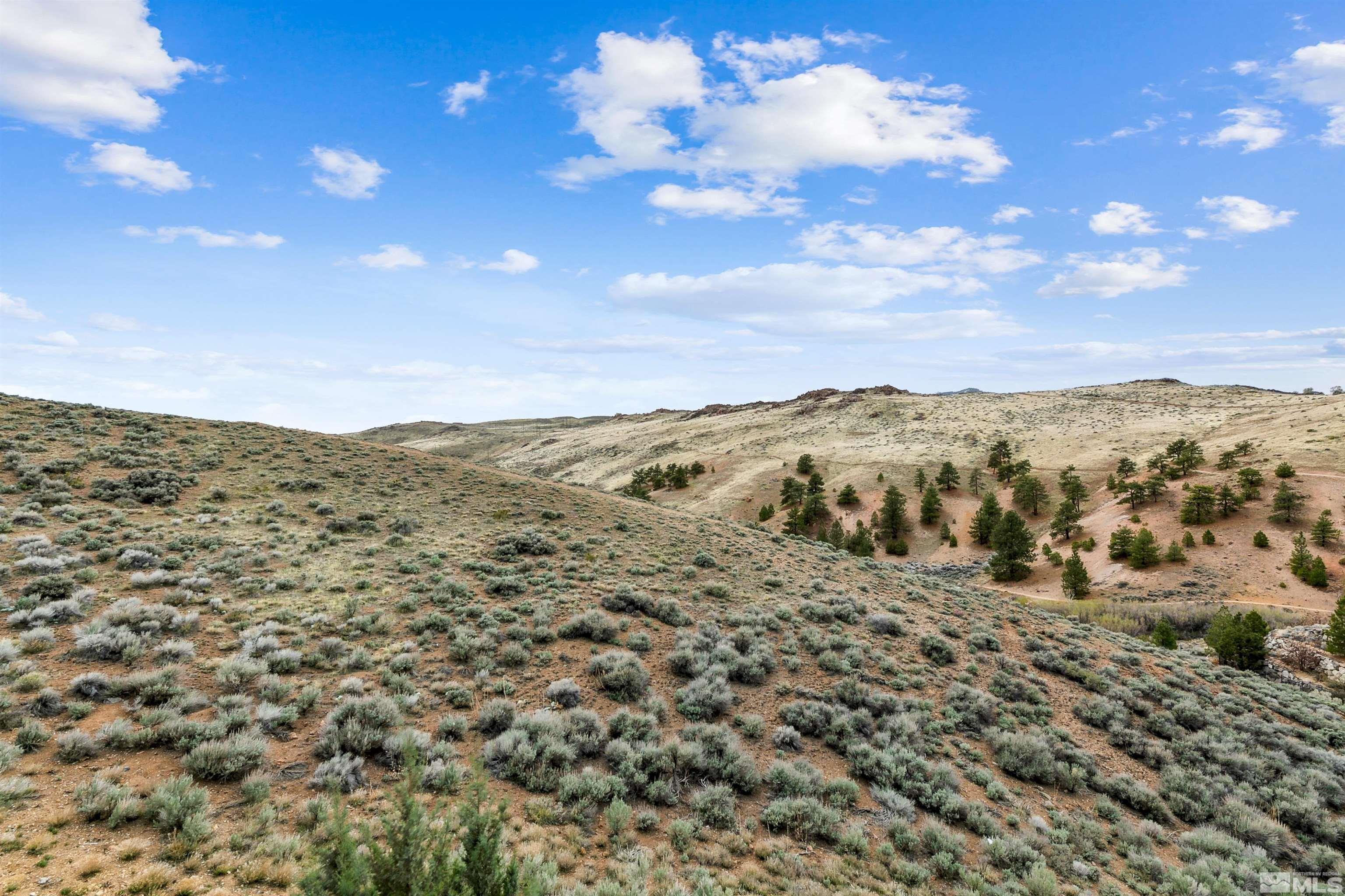 Photo #5: 250004988 Listing 