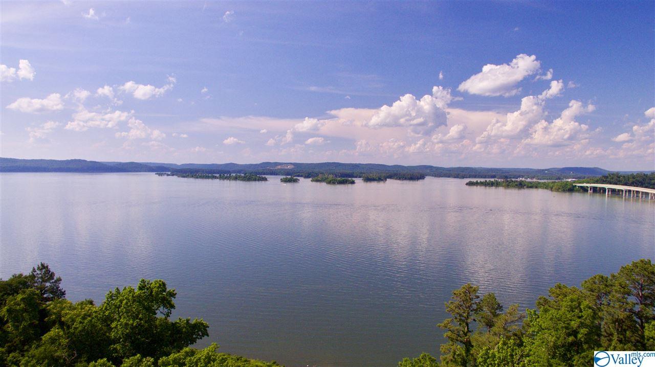 Lake Guntersville Waterfront Real Estate Huntsville Alabama Real Estate