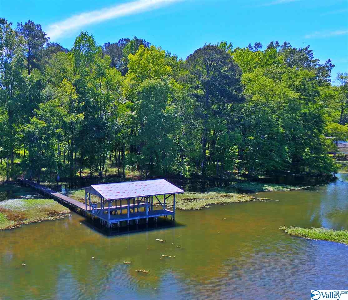 Lake Guntersville Waterfront Real Estate Huntsville Alabama Real Estate