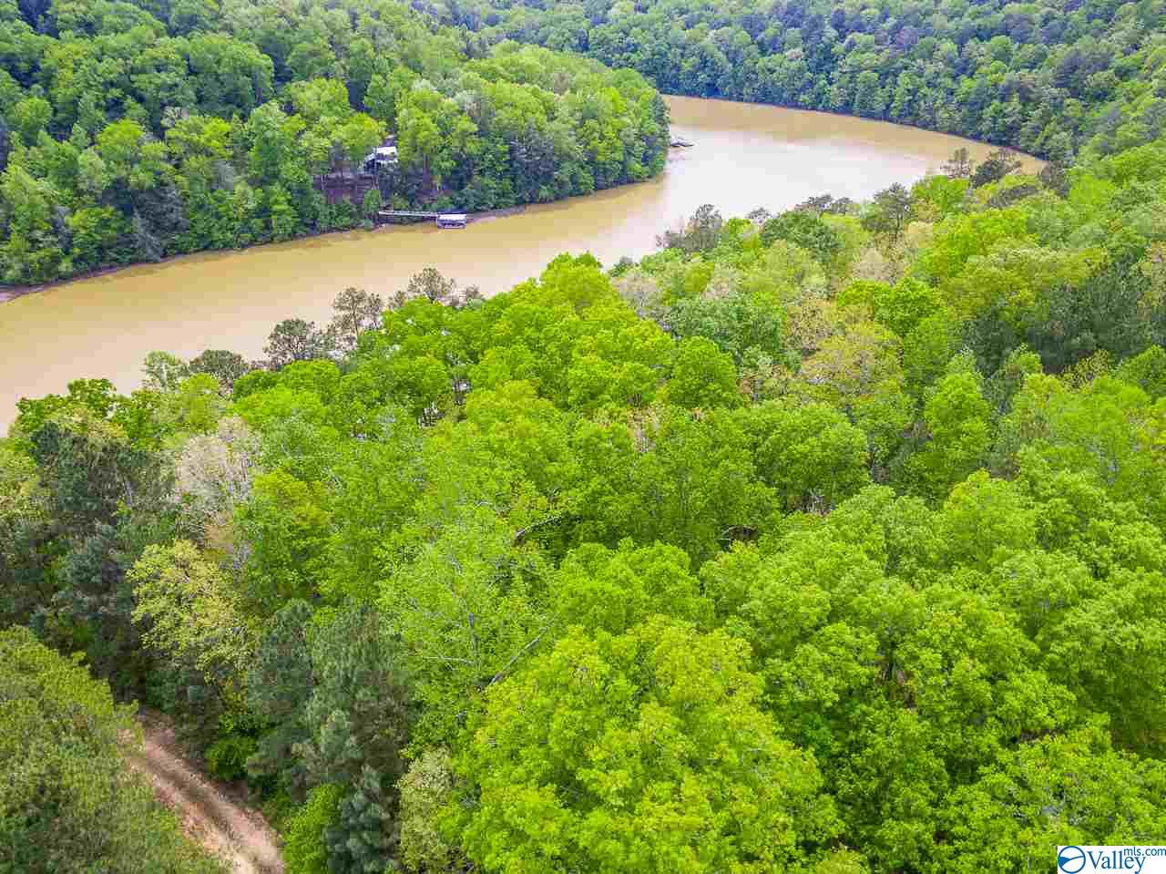 Smith Lake Lots Priced 50k 100k