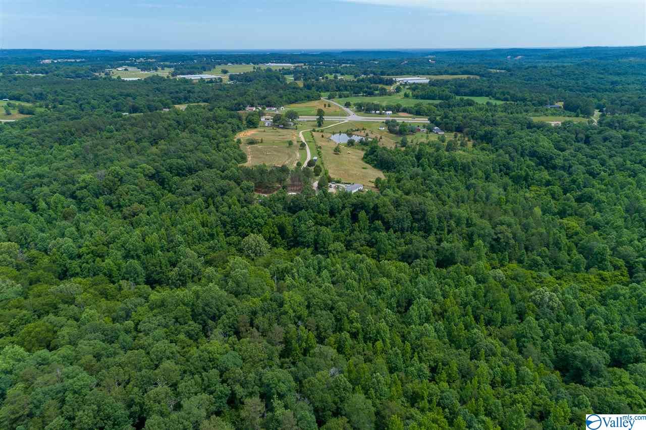 19061 ALABAMA HIGHWAY 157, MOULTON, AL 35650 MarMac Real Estate